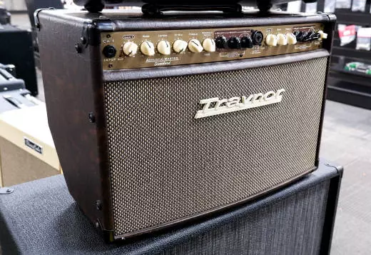 Store Special Product - Traynor - AM Standard 2-Channel Stereo Acoustic Guitar Amp - 150 Watts